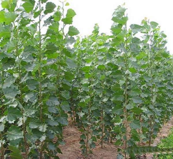 現(xiàn)場(chǎng)拍攝的圖片 現(xiàn)場(chǎng)拍攝的圖片