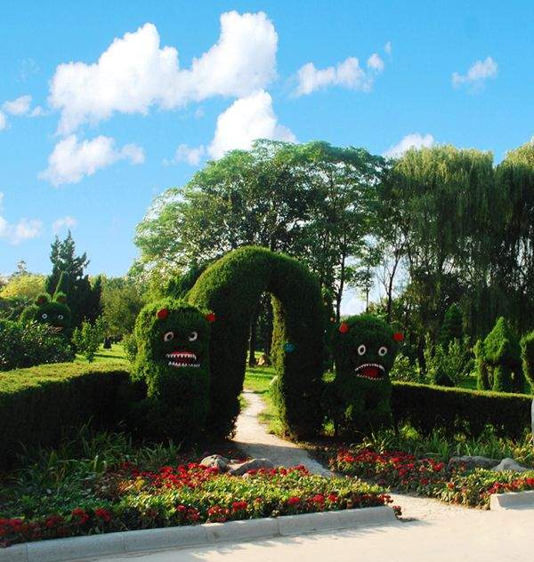 檜柏造型 檜柏造型