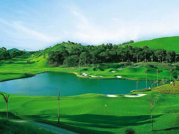 高爾夫球場草坪圖片