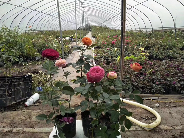 歐月基地照片 歐月基地照片