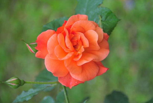 西方大地 西方大地