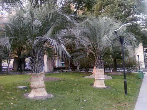 1586263614785044.jpg 1586263614785044.jpg