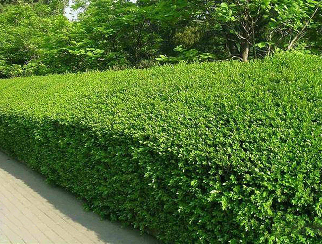 1634714450803489.jpg src=http___img.alicdn.com_tfscom_i2_676567273_O1CN01FDXMxf23b55FlEmS1_!!676567273.jpg&refer=http___img.alicdn.jpg