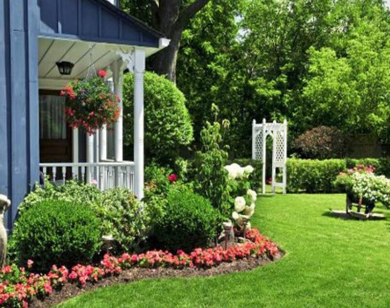 1646893645376036.jpg 別墅草坪6.jpg