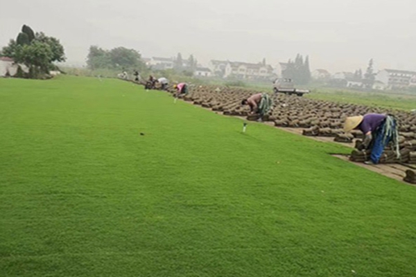 1647535739517142.jpg 1647535739517142.jpg