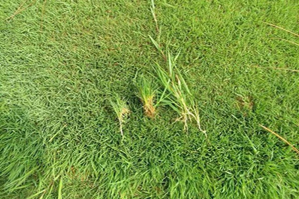 1647535739733540.jpg 1647535739733540.jpg