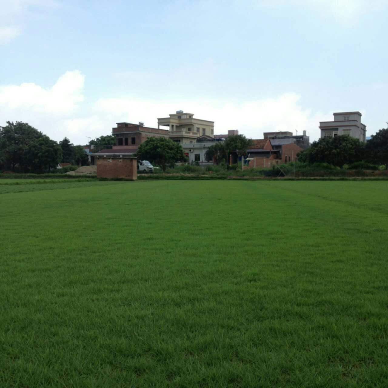 1647536046310619.jpg 1647536046310619.jpg