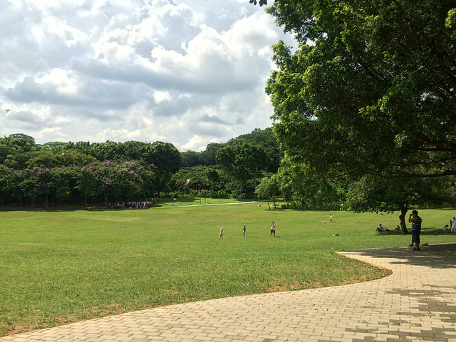 1647536329710979.jpg 1647536329710979.jpg