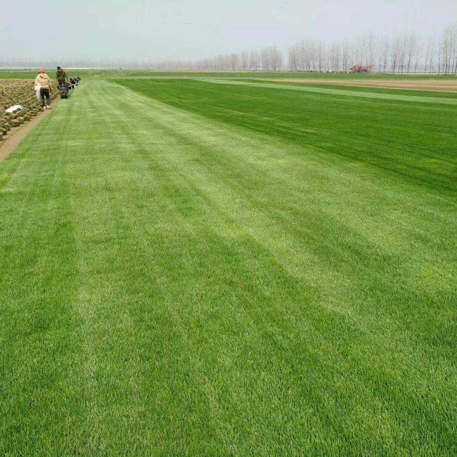 1647538198216864.jpg 1647538198216864.jpg