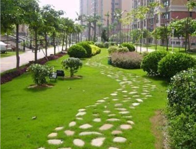 1647570252498708.jpg 1647570252498708.jpg