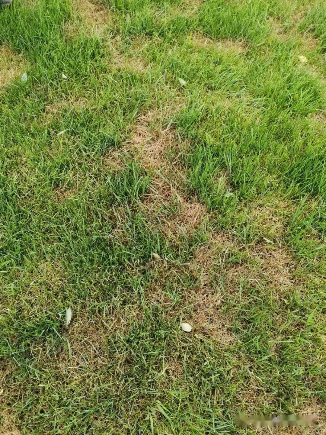 1647570461317082.jpg 1647570461317082.jpg