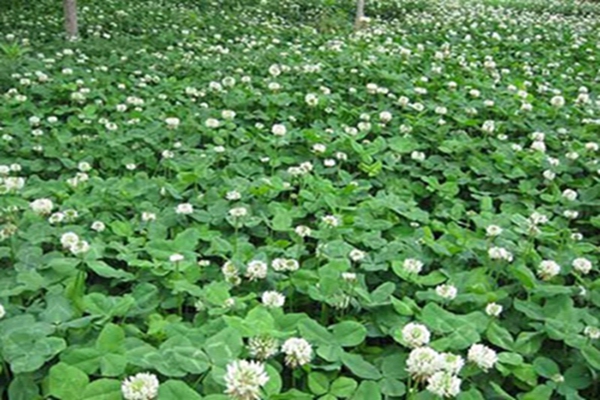 1647570897147251.jpg 1647570897147251.jpg