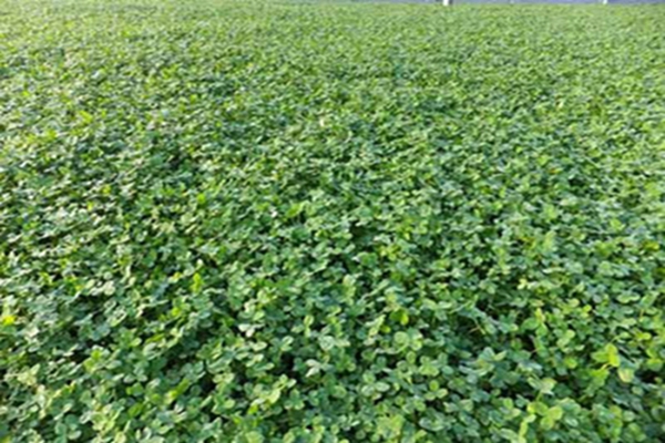 1647570898930723.jpg 1647570898930723.jpg