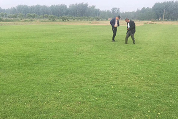 1647571190666271.jpg 1647571190666271.jpg