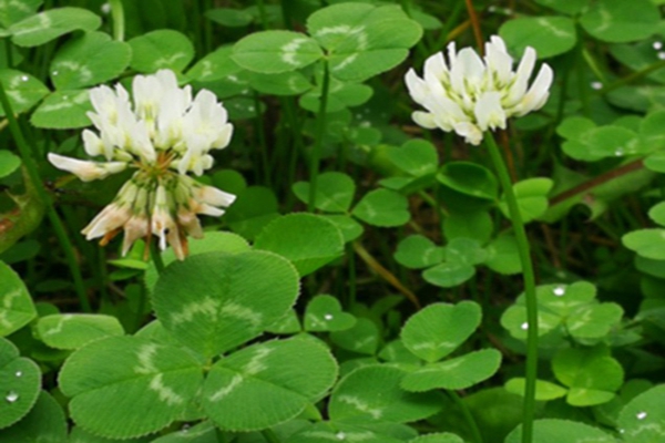 1647573594521337.jpg 1647573594521337.jpg