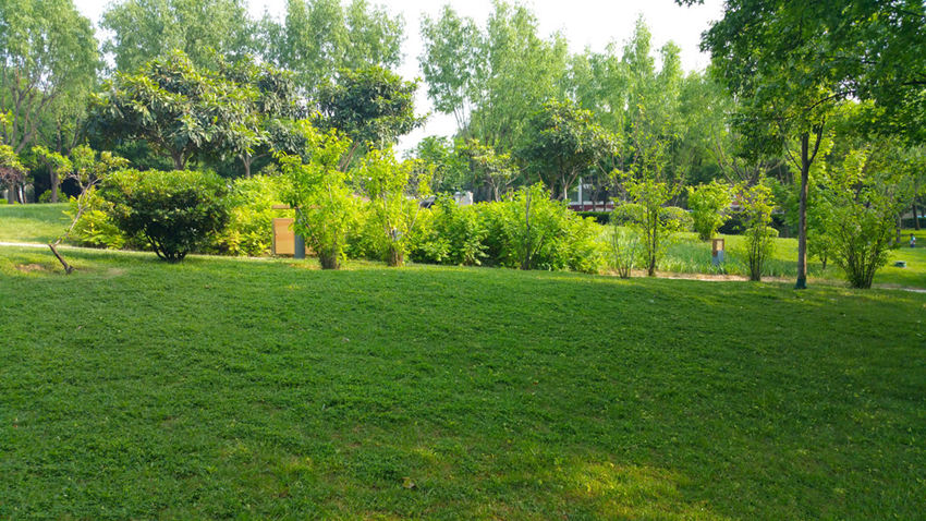 1647575160484873.jpg 1647575160484873.jpg