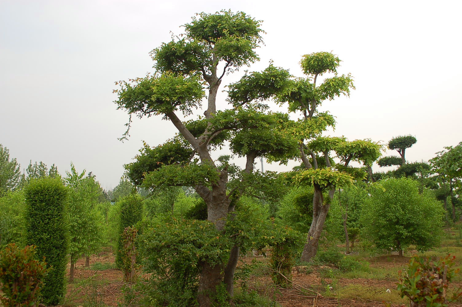 1648545816152324.jpg 1648545816152324.jpg