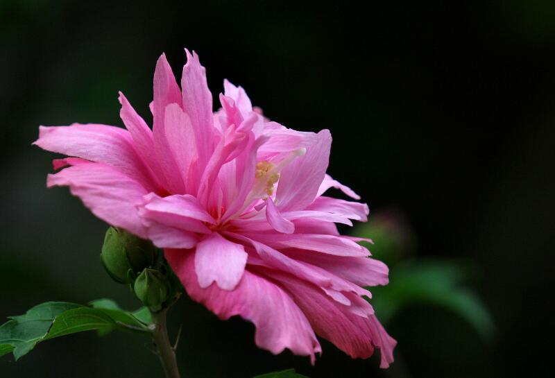 1649039553135933.jpg 1649039553135933.jpg