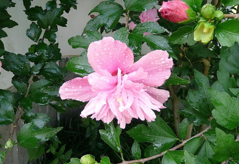 1649039553841574.jpg 1649039553841574.jpg