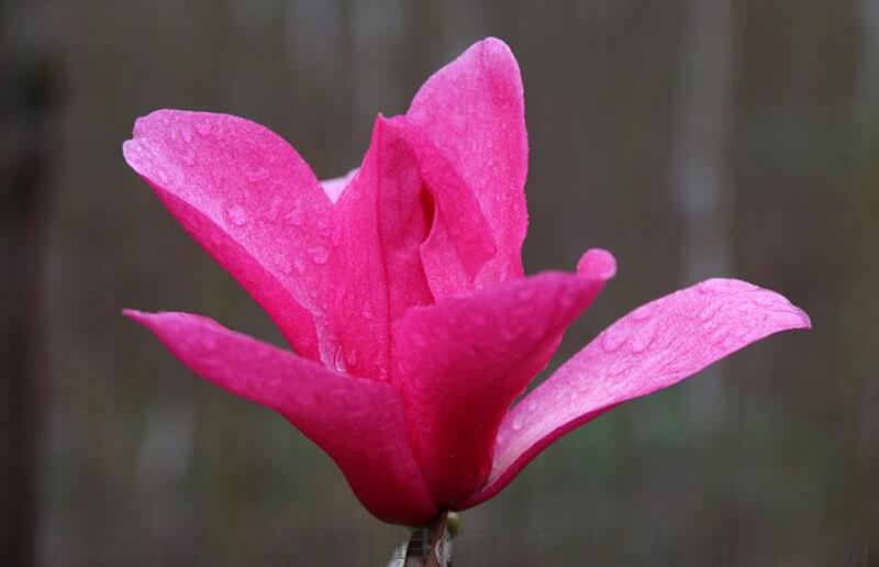 1649043208573519.jpg 1649043208573519.jpg