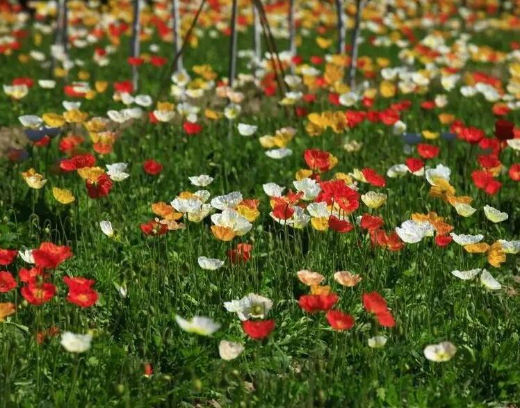 1649043421621889.jpg 1649043421621889.jpg