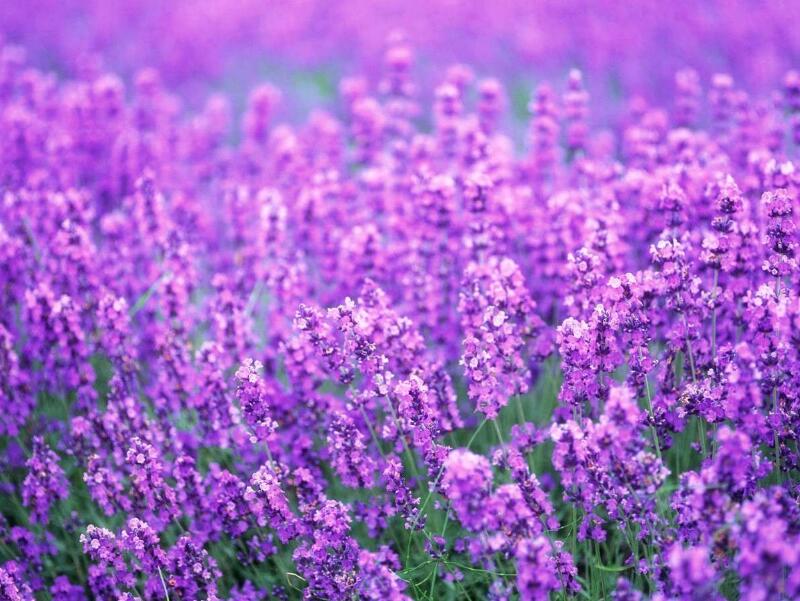 1649043506720241.jpg 1649043506720241.jpg