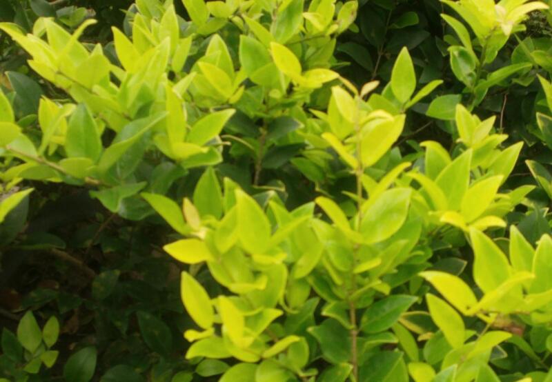 1649045149443869.jpg 1649045149443869.jpg