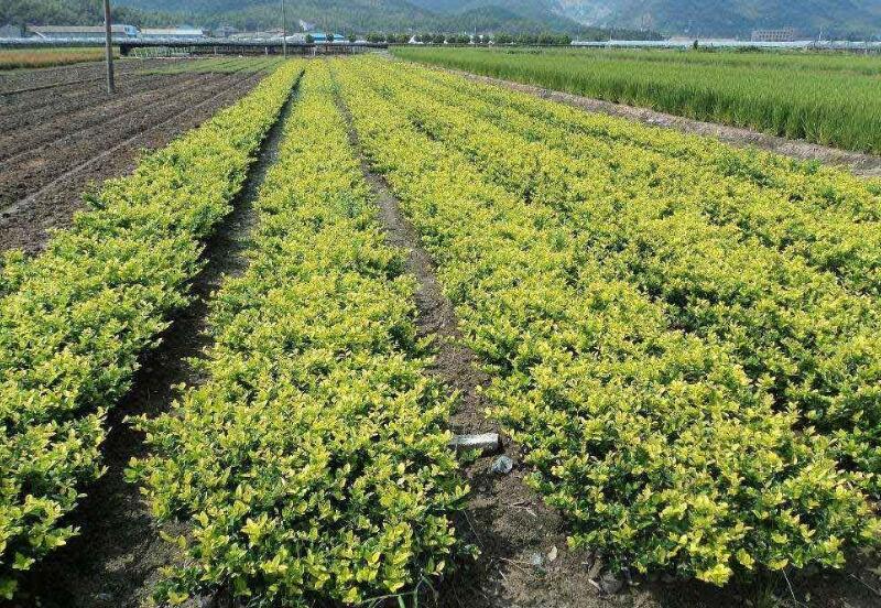 1649045150110610.jpg 1649045150110610.jpg