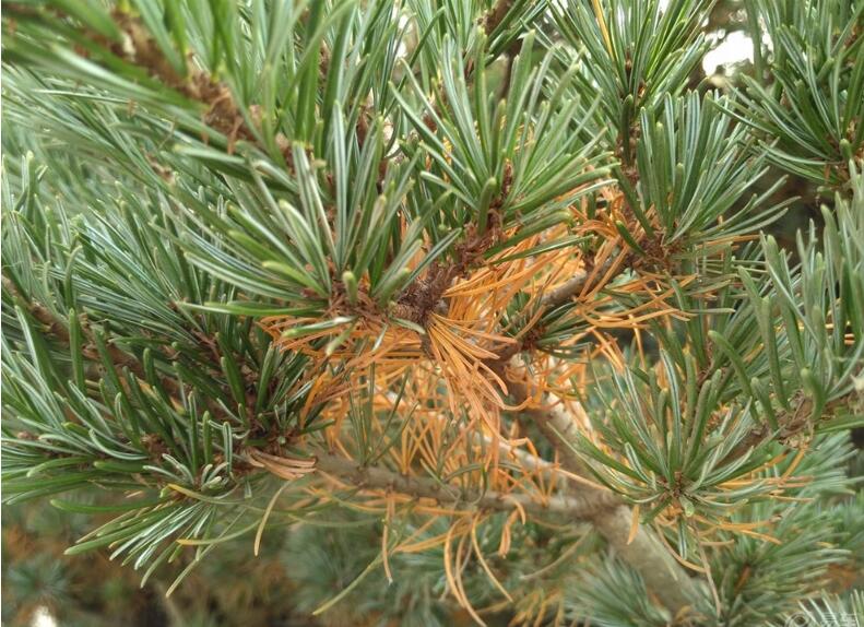 1649045993389168.jpg 1649045993389168.jpg