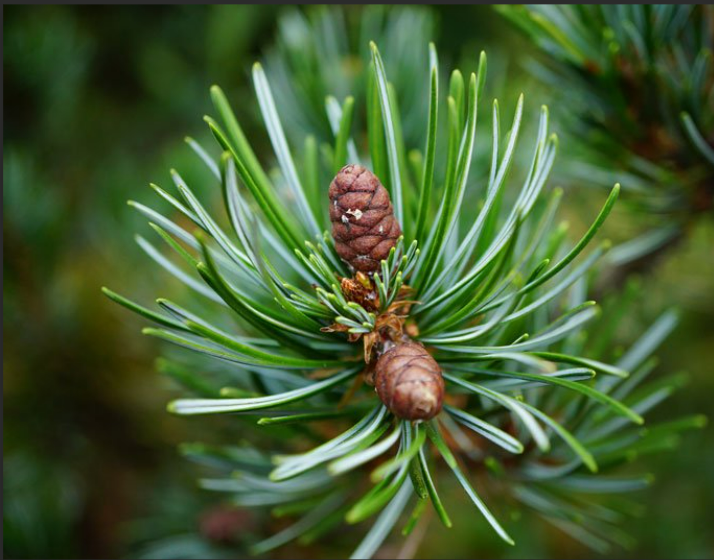 1649045993765979.png 1649045993765979.png