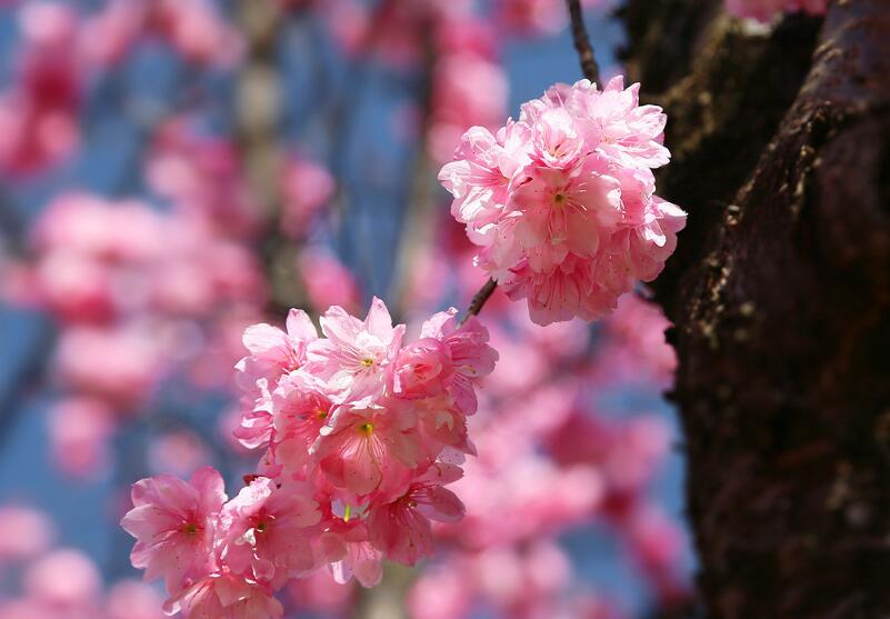 1649046061932312.jpg 1649046061932312.jpg