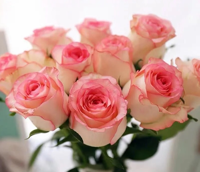 1649046195845586.png 1649046195845586.png