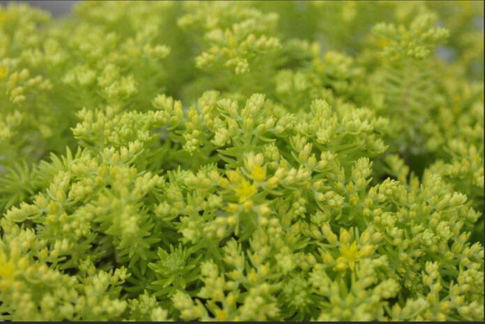 1649658710255580.jpg 1649658710255580.jpg