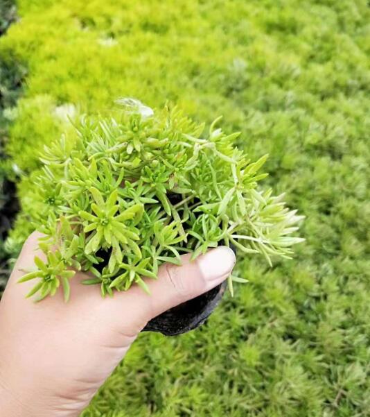 1649661389258660.jpg 1649661389258660.jpg