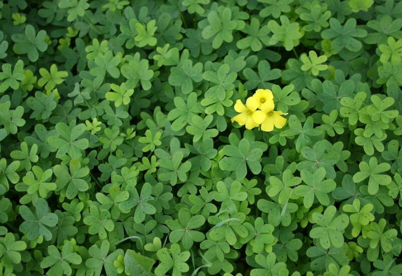 1651543854723157.jpg 1651543854723157.jpg