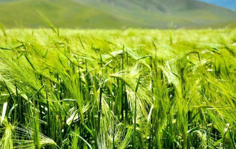 1653799400386457.jpg 1653799400386457.jpg