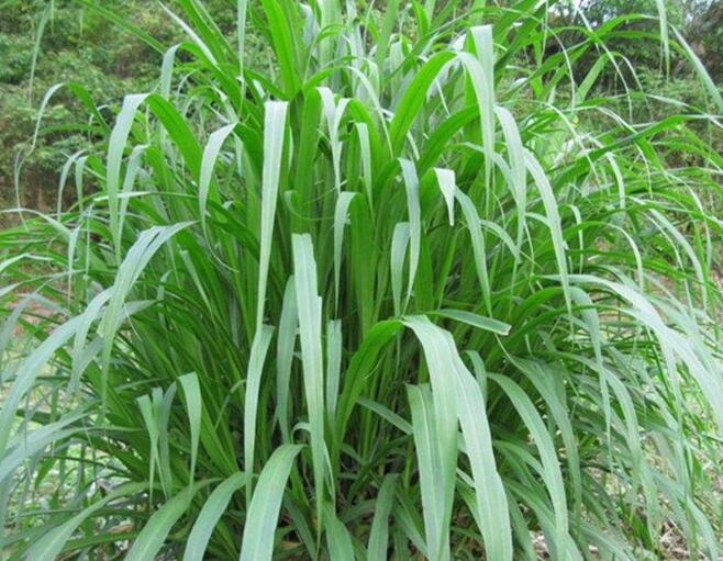 1654496800344960.jpg 1654496800344960.jpg