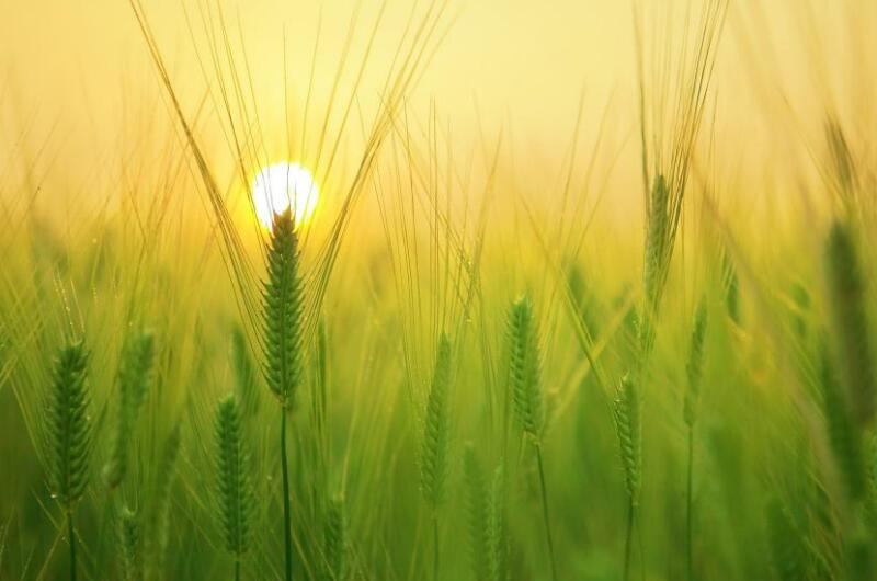 1654497461611775.jpg 1654497461611775.jpg