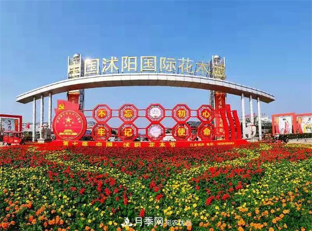 值得收藏！這些全國(guó)著名苗木產(chǎn)地你知道幾個(gè)？