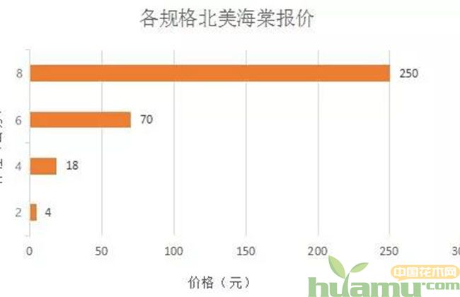 北美海棠
