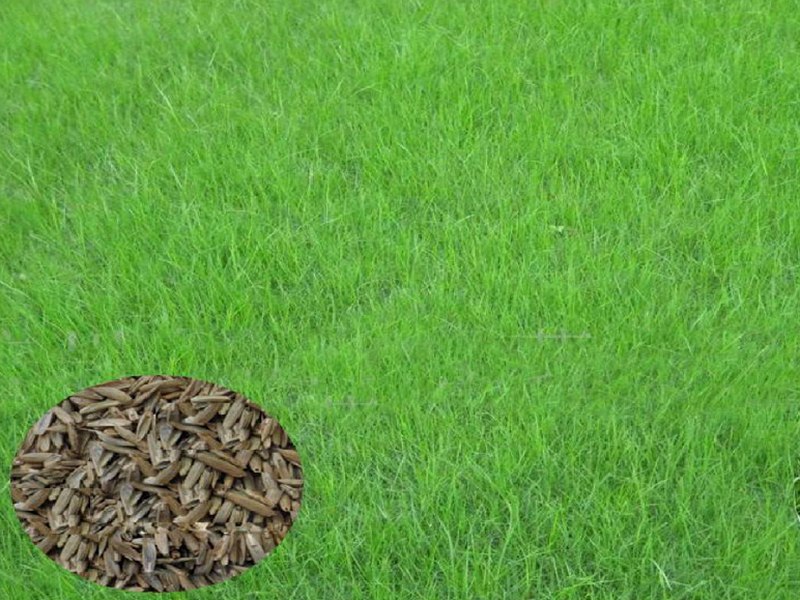 1672623125744229.jpg 微信圖片_20220820074217.jpg