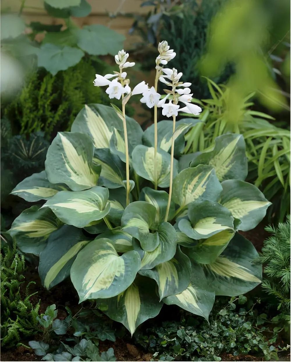 1673356554463078.jpg 微信圖片_20230108102811.jpg