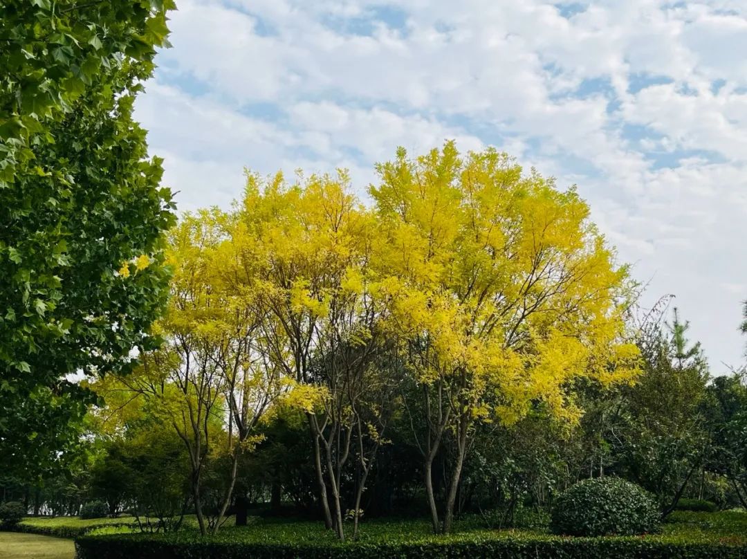 1673559583239207.jpg 微信圖片_20230113053725.jpg