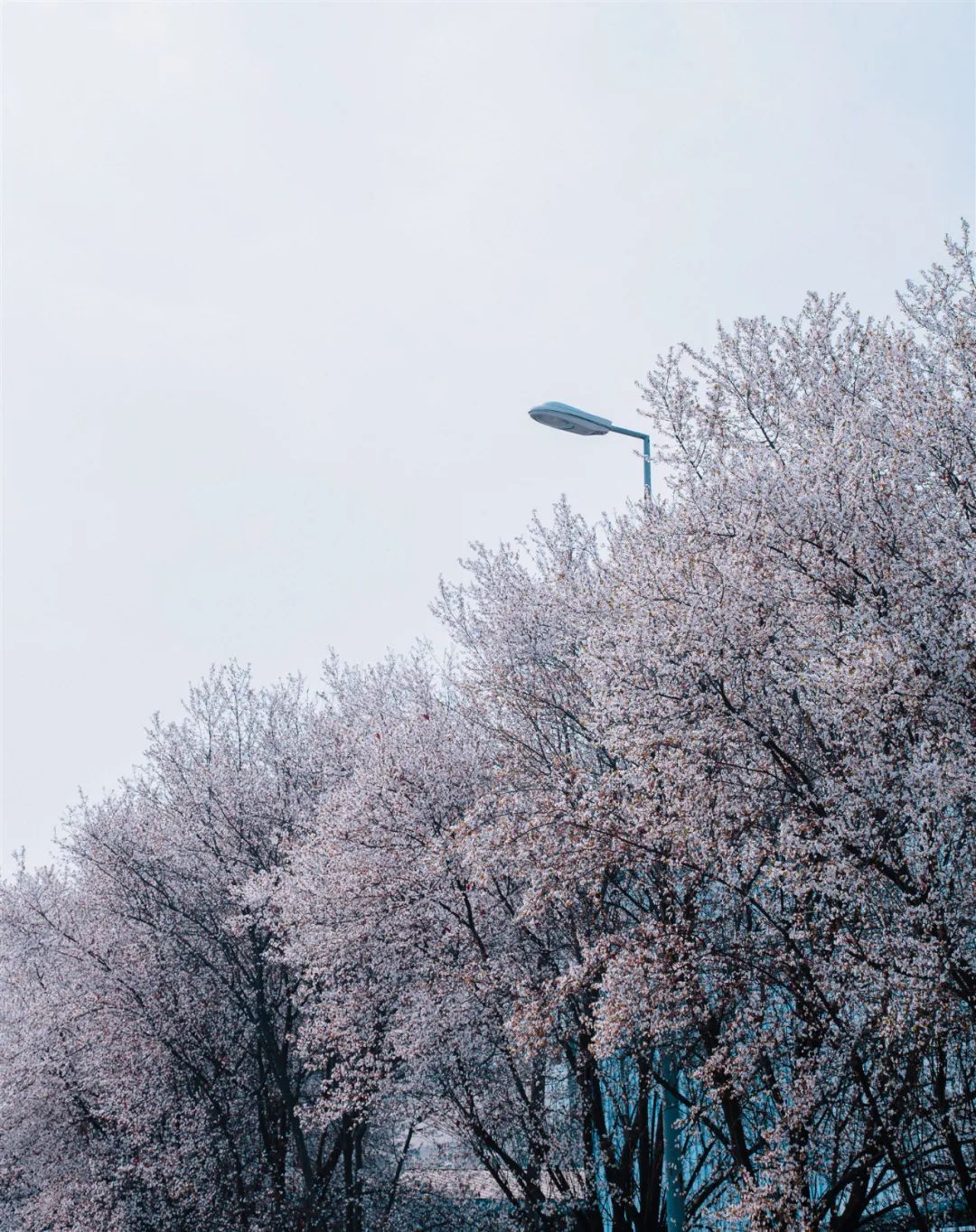 1673560069327602.jpg 微信圖片_20230107195018.jpg