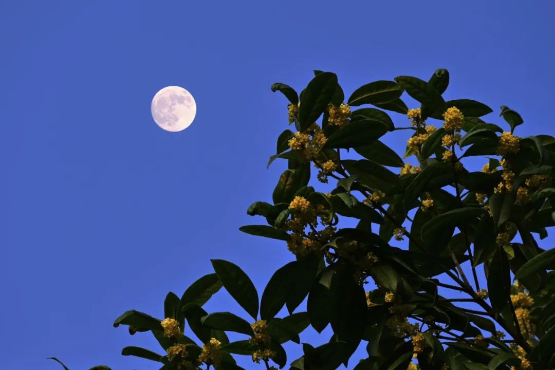 1673825680837817.jpg 微信圖片_20221026222434.jpg