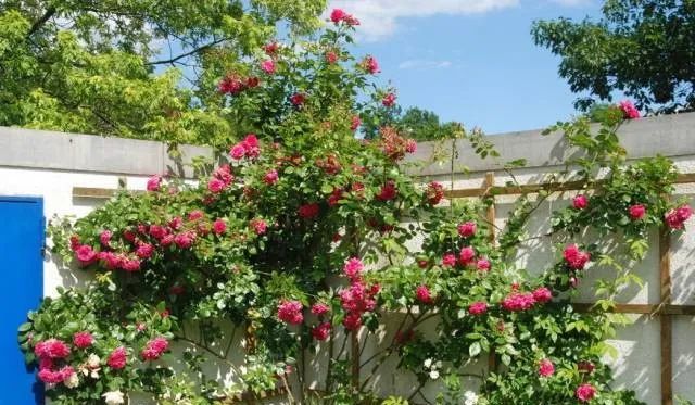 1673825758848245.jpg 微信圖片_20230108121948.jpg