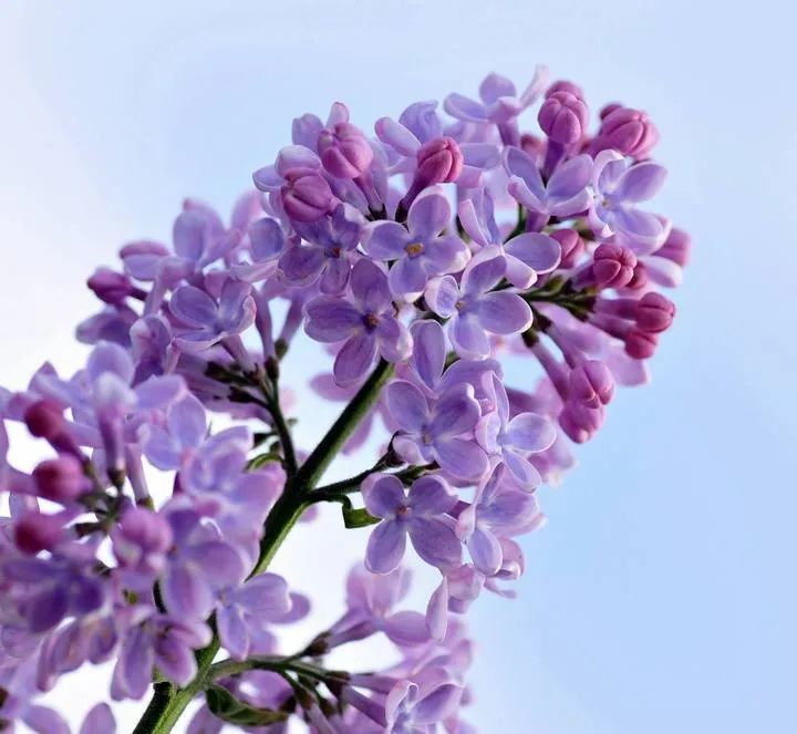 1674483331823161.jpg 微信圖片_20221104193404.jpg