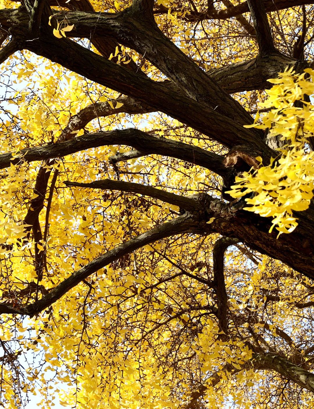 1674484319358348.jpg 微信圖片_20230112212758.jpg