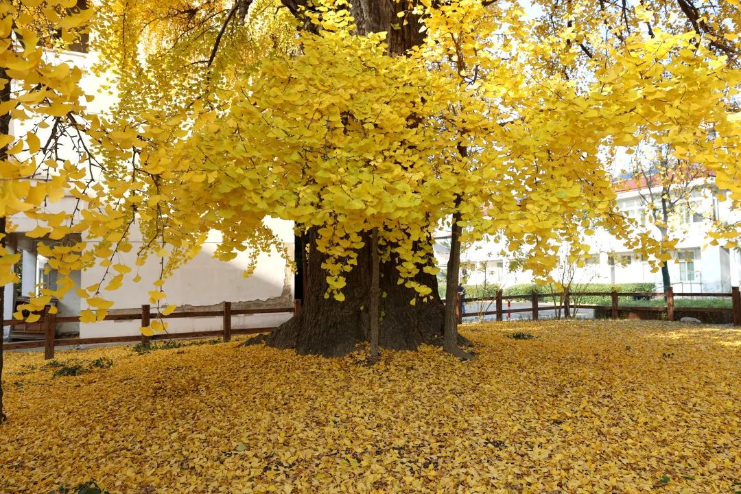 1674484340460216.jpg 微信圖片_20230112212754.jpg