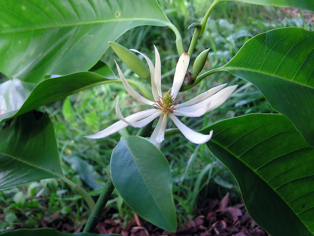 1674484841193907.jpg 微信圖片_20230112000050.jpg